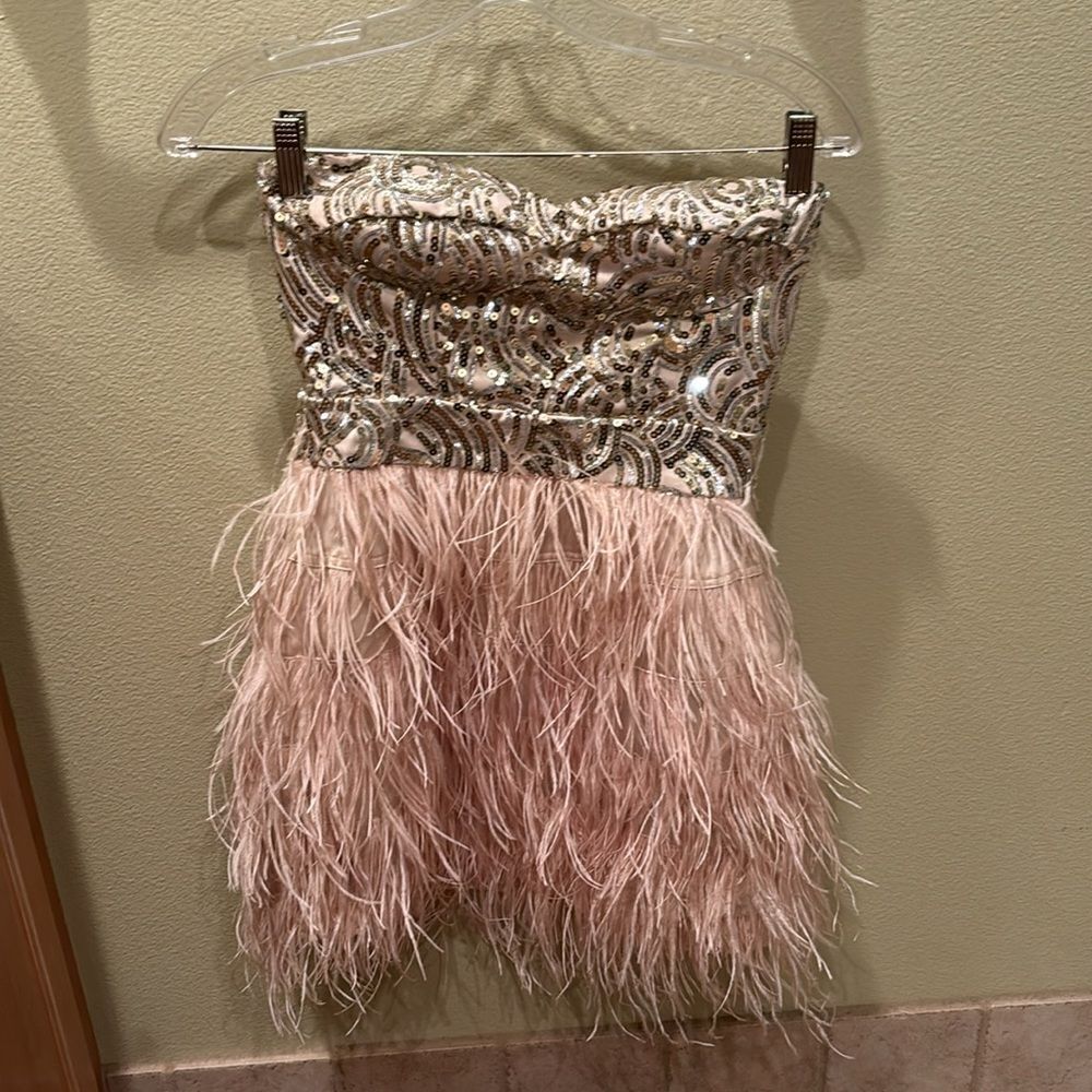 Bebe strapless fringe and sequin dress. Top is gold and the fringe is light pink - Picture 2 of 11